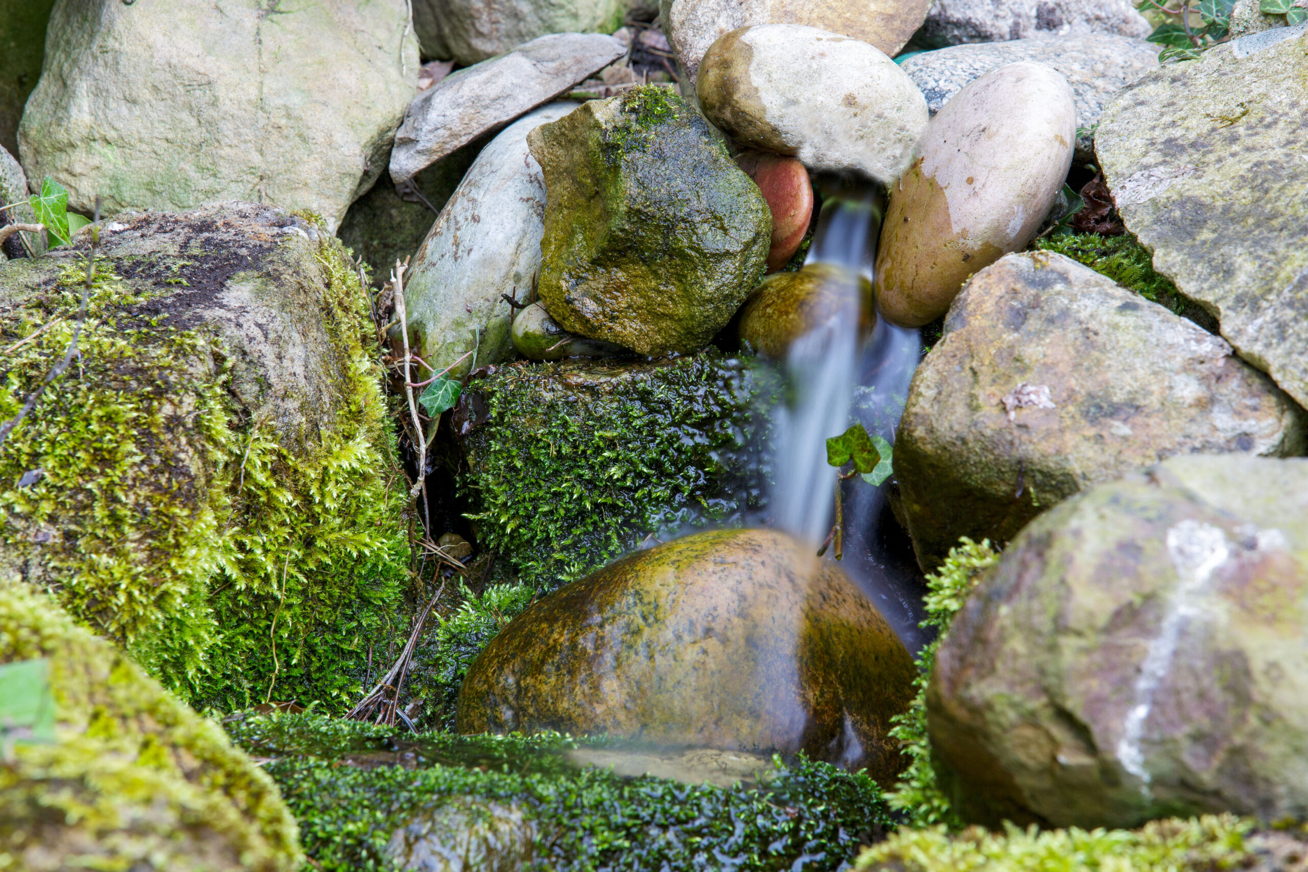 Wassertränke im Garten