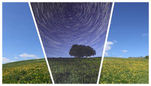 Katja / Tag und Nacht Collage