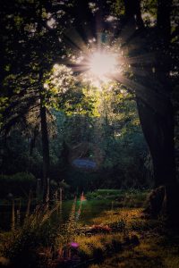Zentralfriedhof Leipzig @Klaus