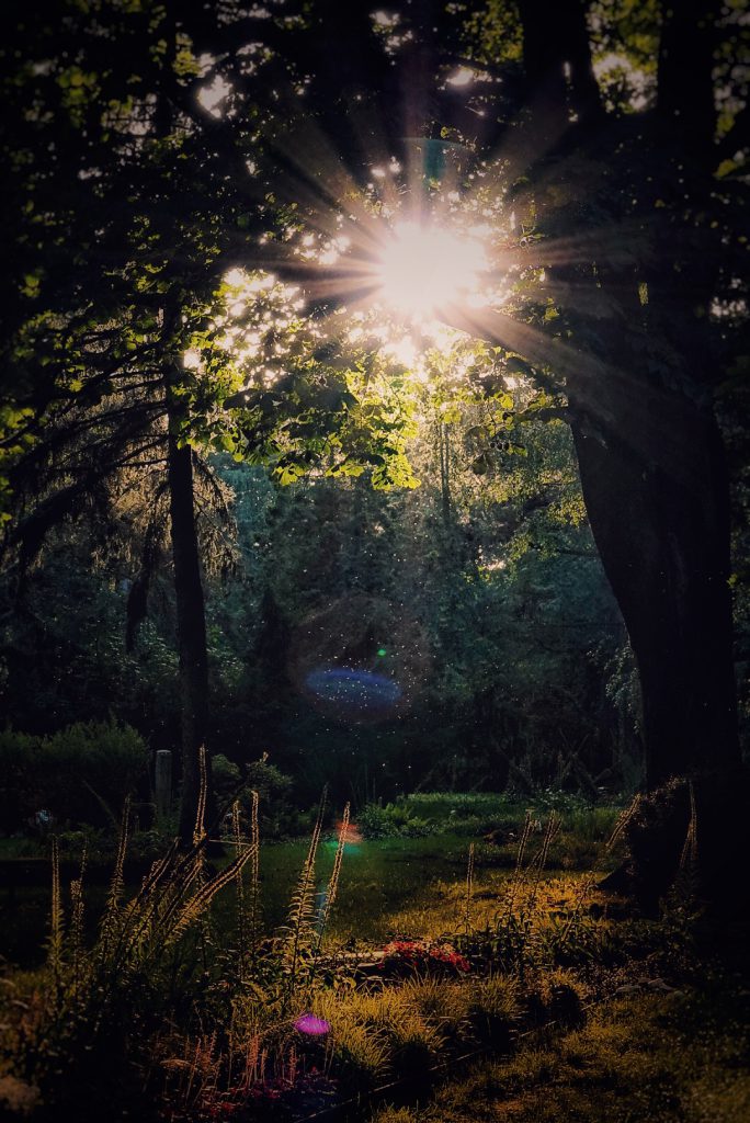 Zentralfriedhof Leipzig @Klaus