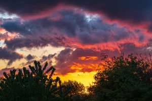 Reinhard Müller Sonnenuntergang 1