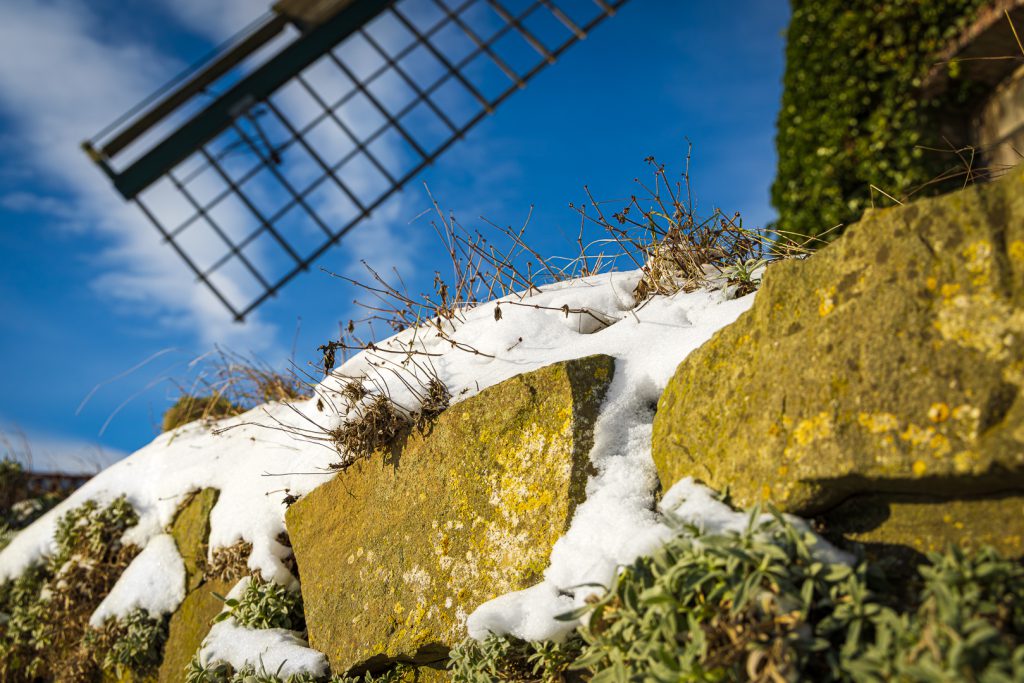 Reinhard / Winter an der Mühle
