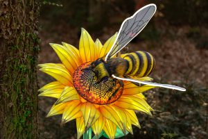 Hummel beim Waldleuchten in Bad Lippspringe - Gerd