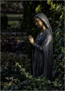 Friedhof Wiedenbrück