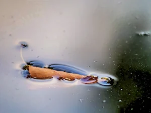 Spannung