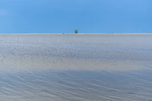 DER BAUM nahe Schleimünde