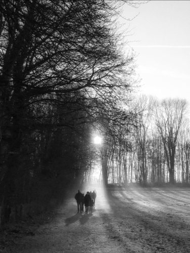Platz 1 Licht & Schatten